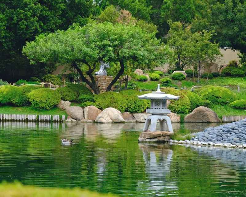 a pond with rocks and a small fountain