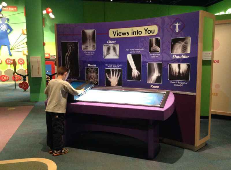 young boy playing with a table in a museum