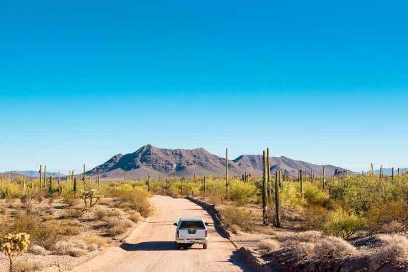 Desert On A Sonoran Desert Tour