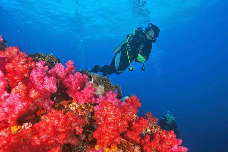 snorkeling at Similan Islands