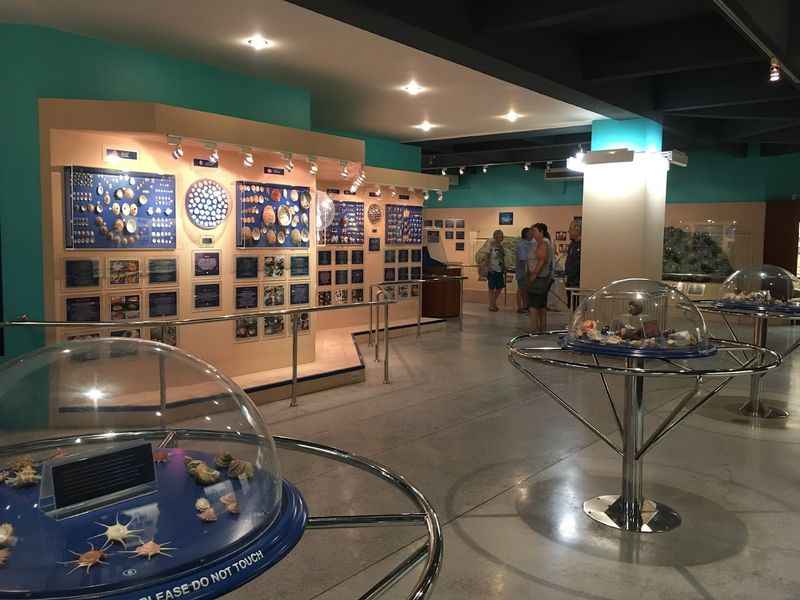 Phuket Seashell Museum