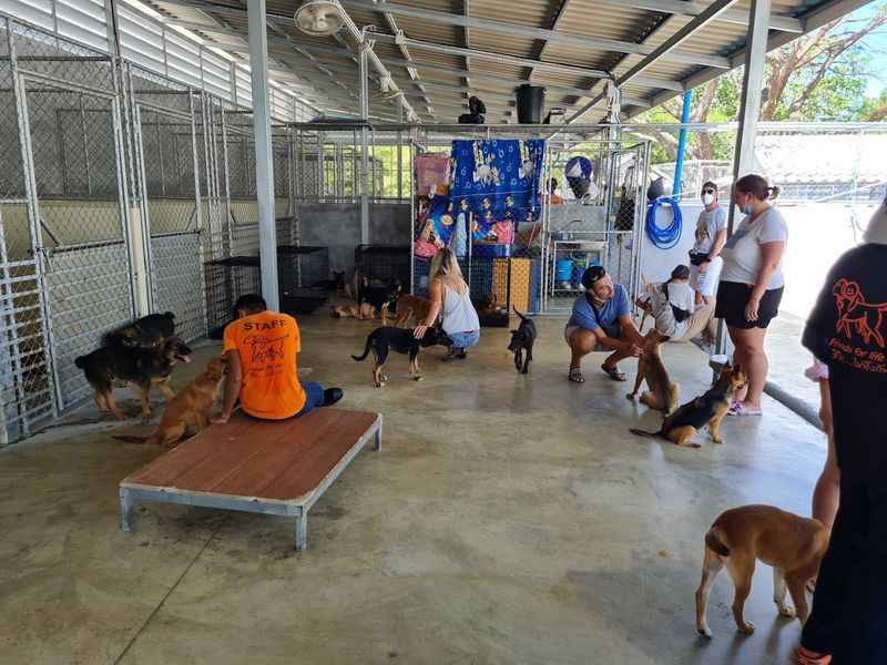 Soi Dog Foundation