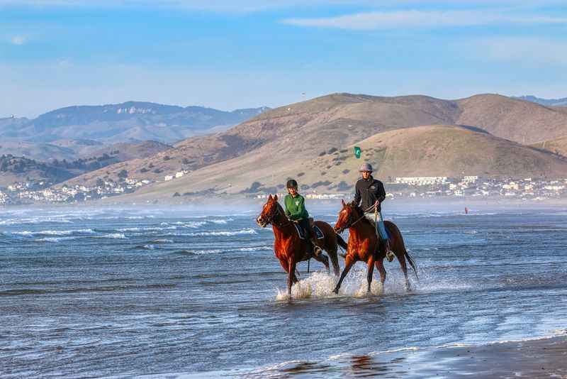 Horseback Ride along the shoreline