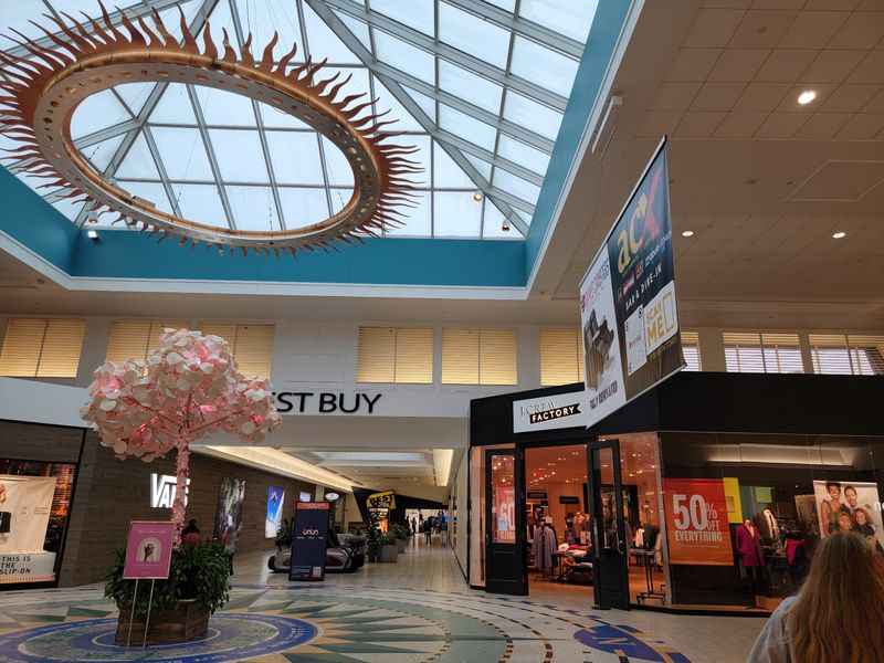 a plant with pink petals in a mall with a skylight