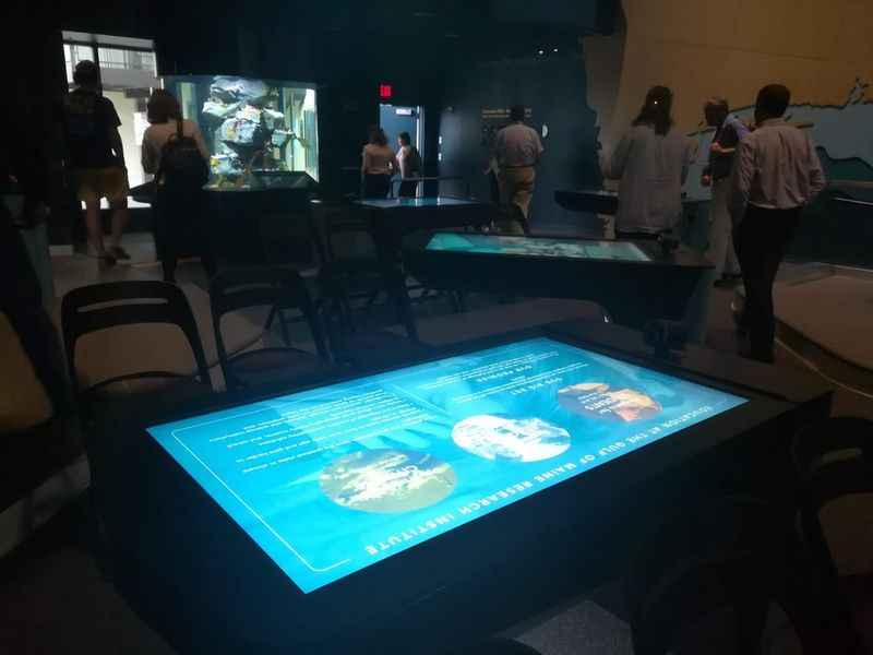 people in a room with a table with a projection on it