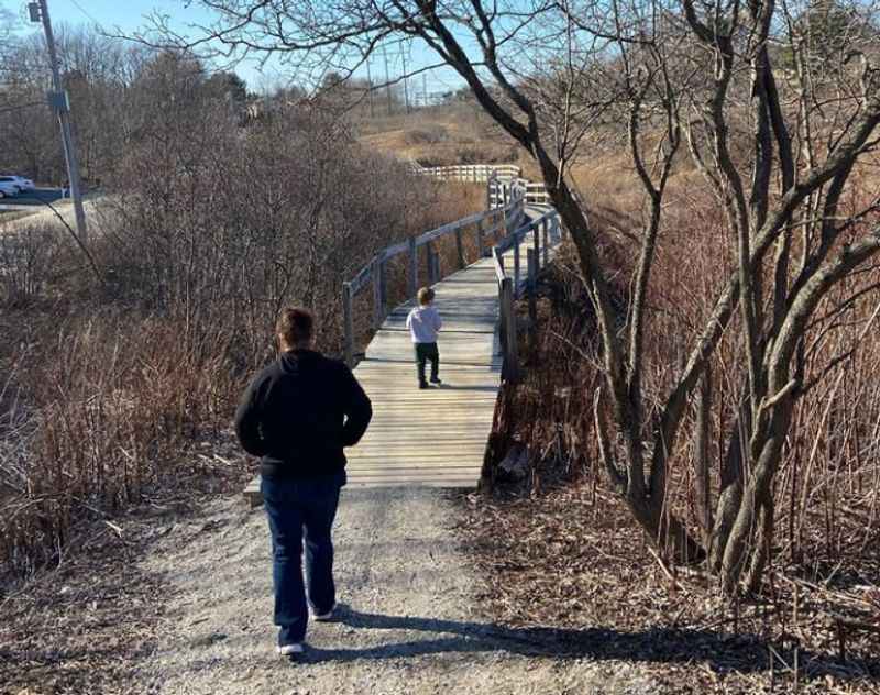 a man walking down a path in the woods