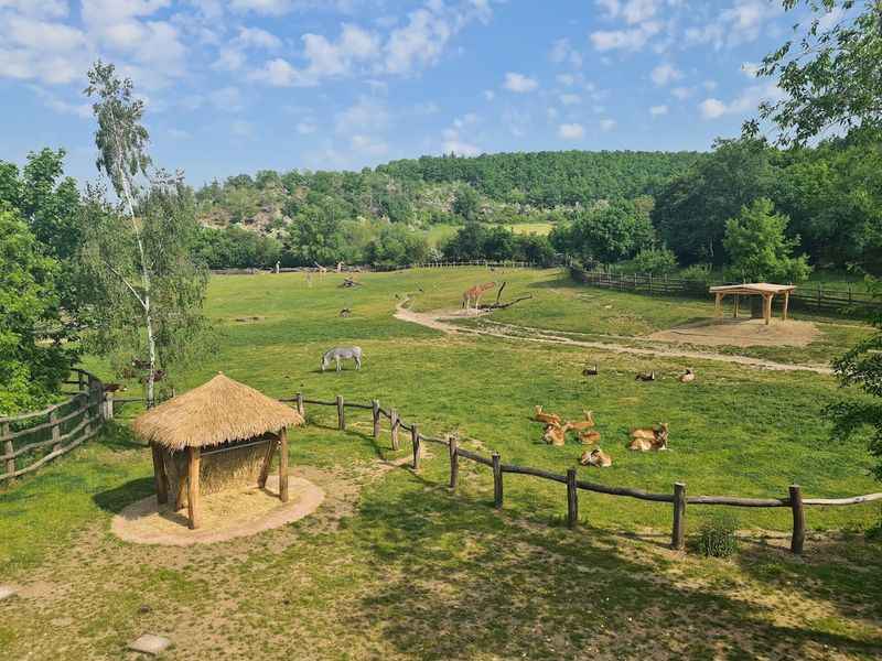 Prague Zoo's Natural Kingdom