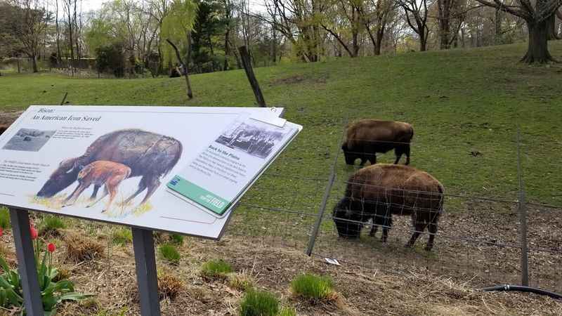 Queens Zoo