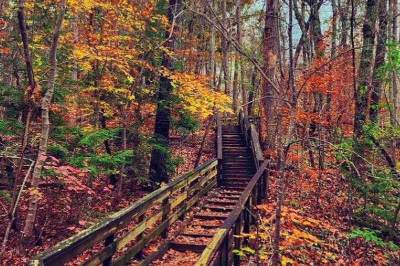 Hemlock Bluffs Nature Preserve