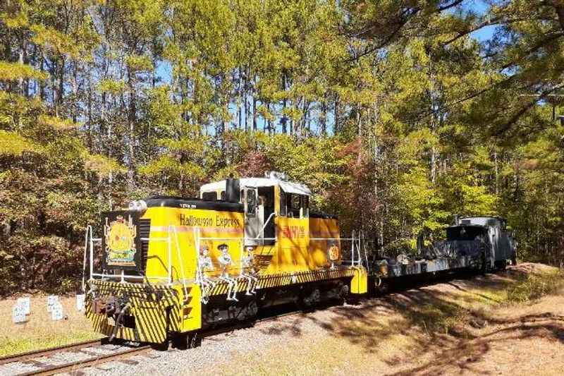 New Hope Valley Railway