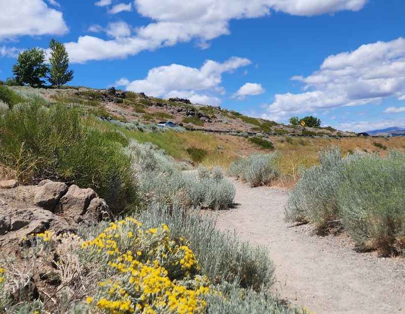 Bartley Ranch Regional Park