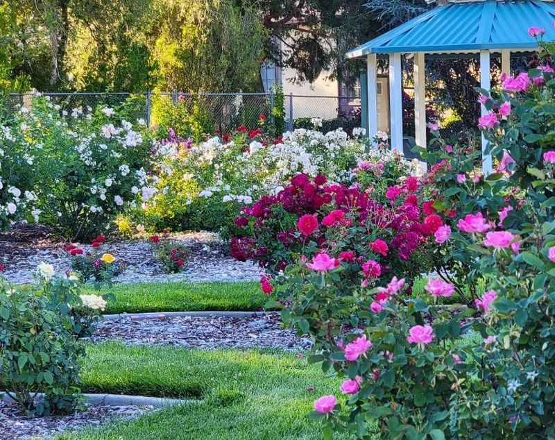 Idlewild Park and Rose Garden