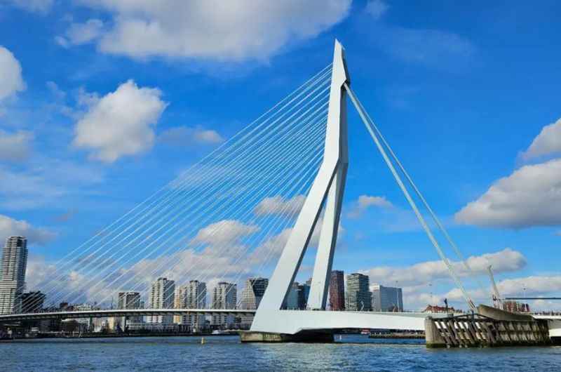 Erasmusbrug from Sightseeing Boat View