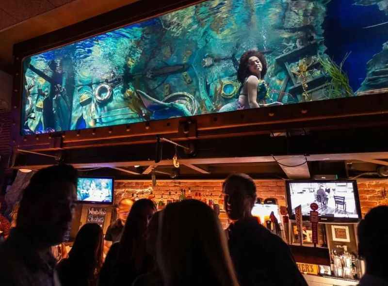 a large aquarium in a bar with people watching