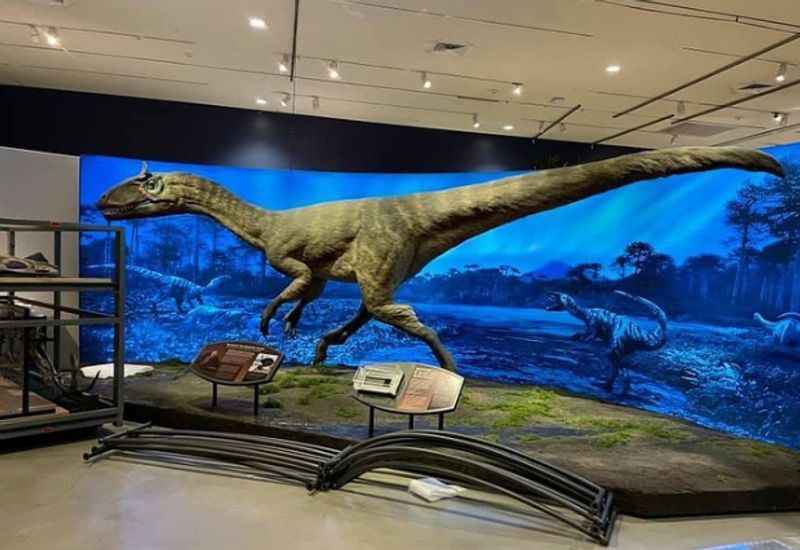  Natural History Museum of Utah