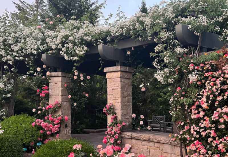 Red Butte Garden