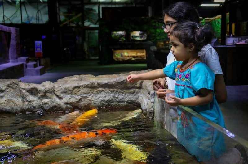 Sea Life at San Antonio Aquarium