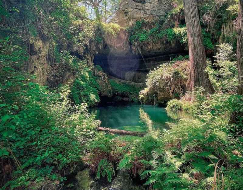 Westcave Outdoor Discovery Center at Texas Hill Country