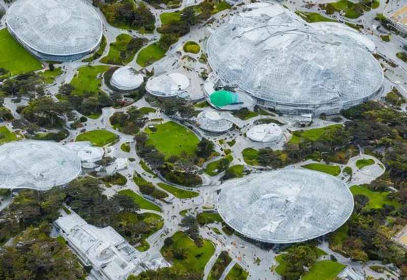  The California Academy of Sciences