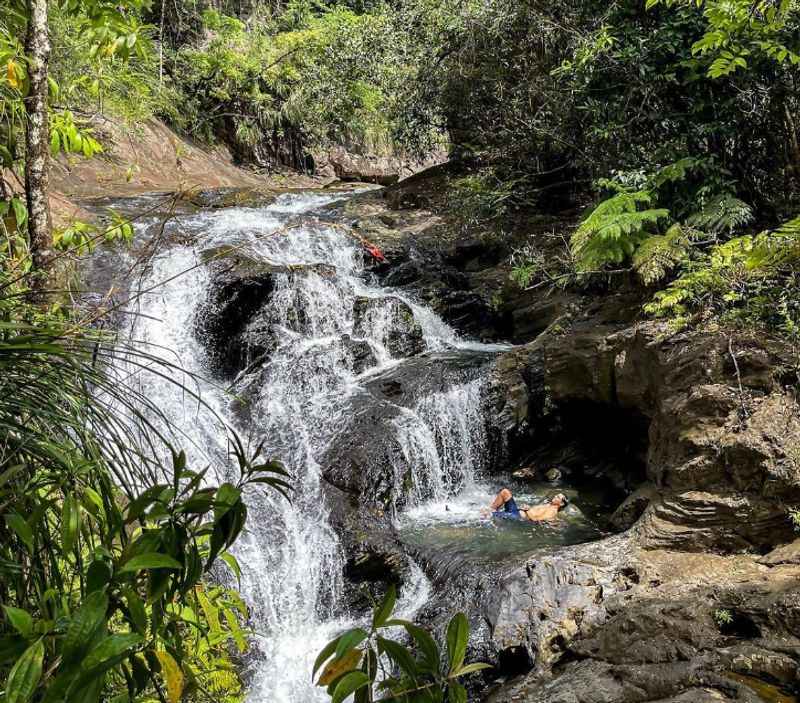 El Yunque National Forest