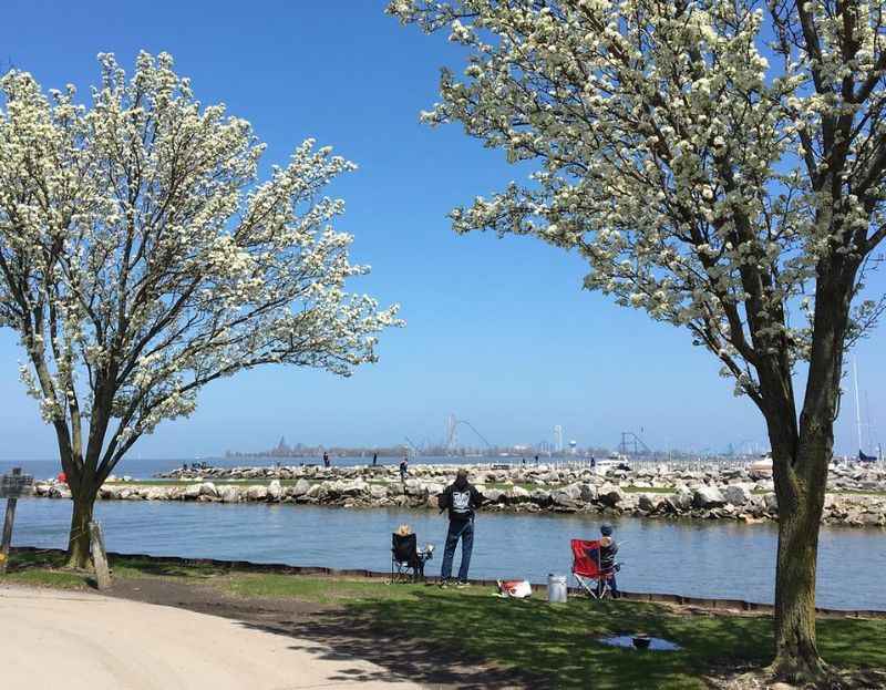 Shoreline Park