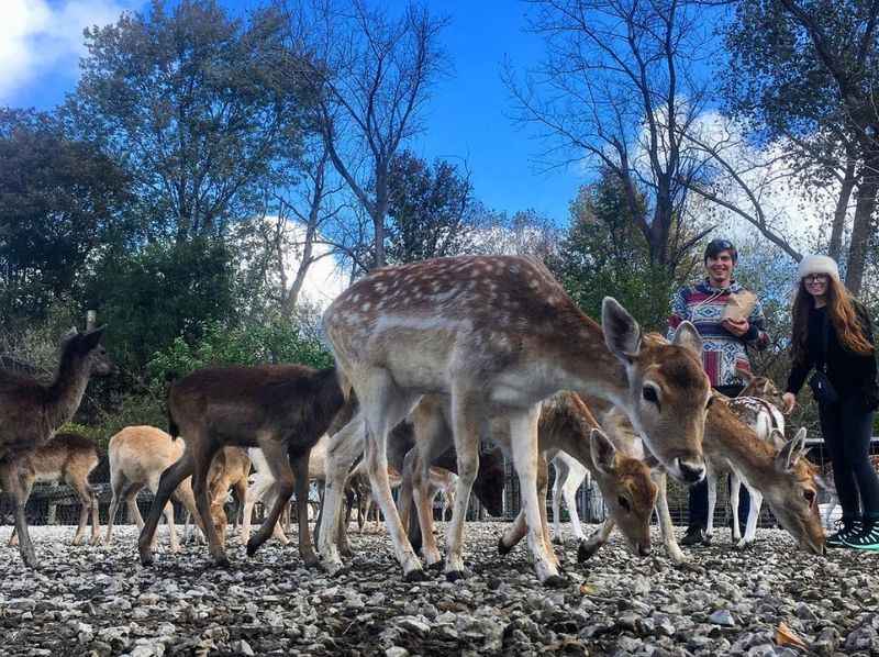 Lagoon Deer Park