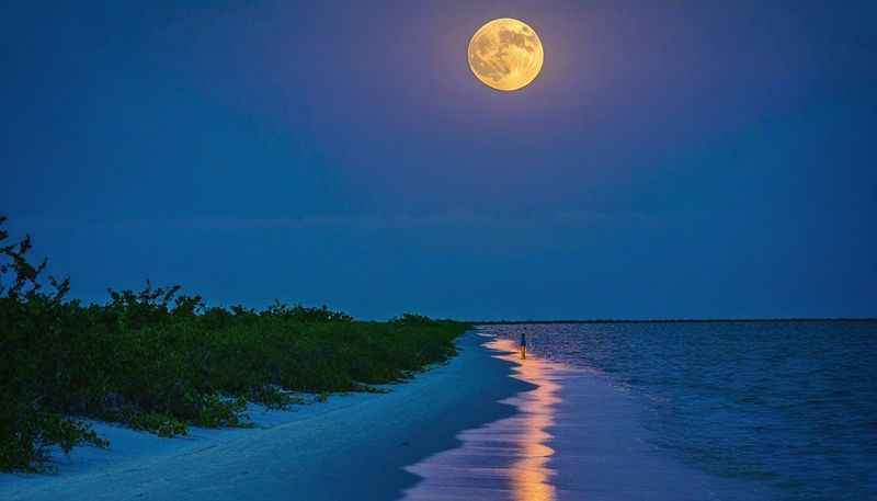 Low Tide at Night on the Beach