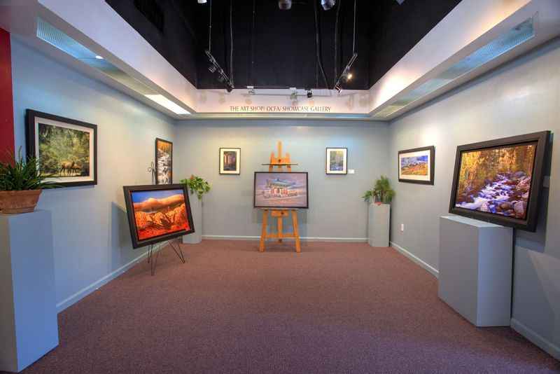 Showcase Gallery