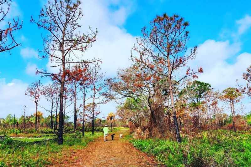 Lake Manatee State Park