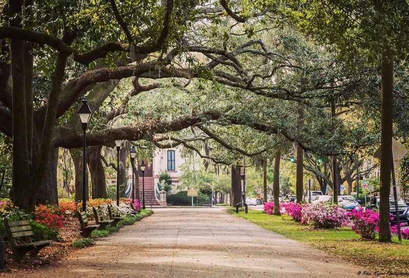  Best Things to Do in Savannah, GA