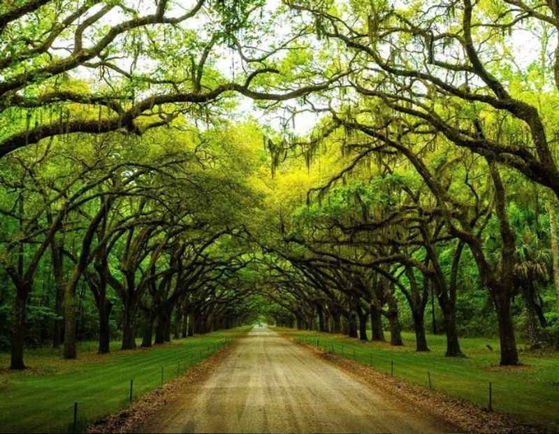 Wormsloe Historic Site