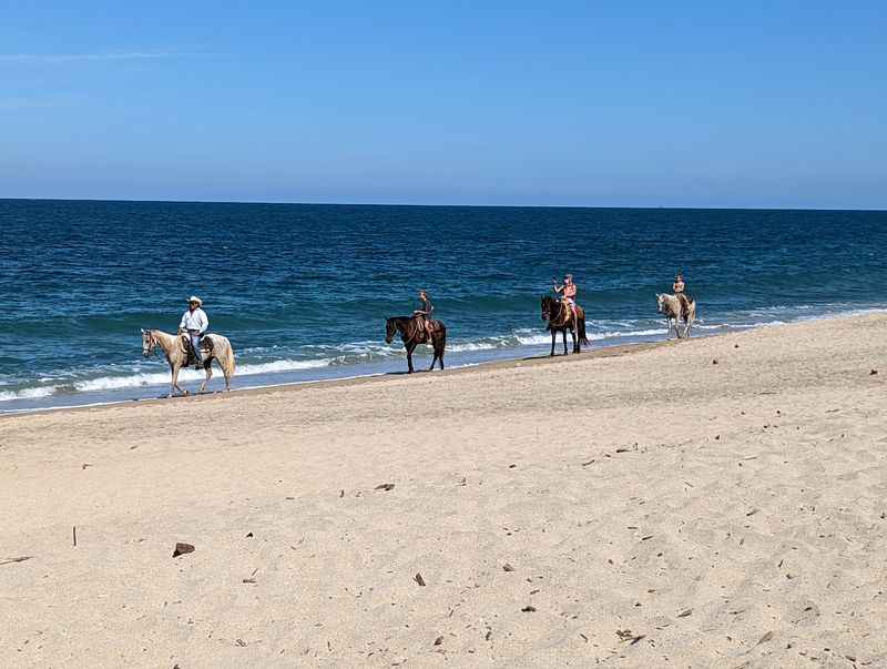 Horseback Riding