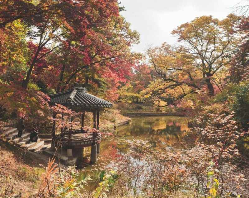 a small pond surrounded by trees with fall foliage