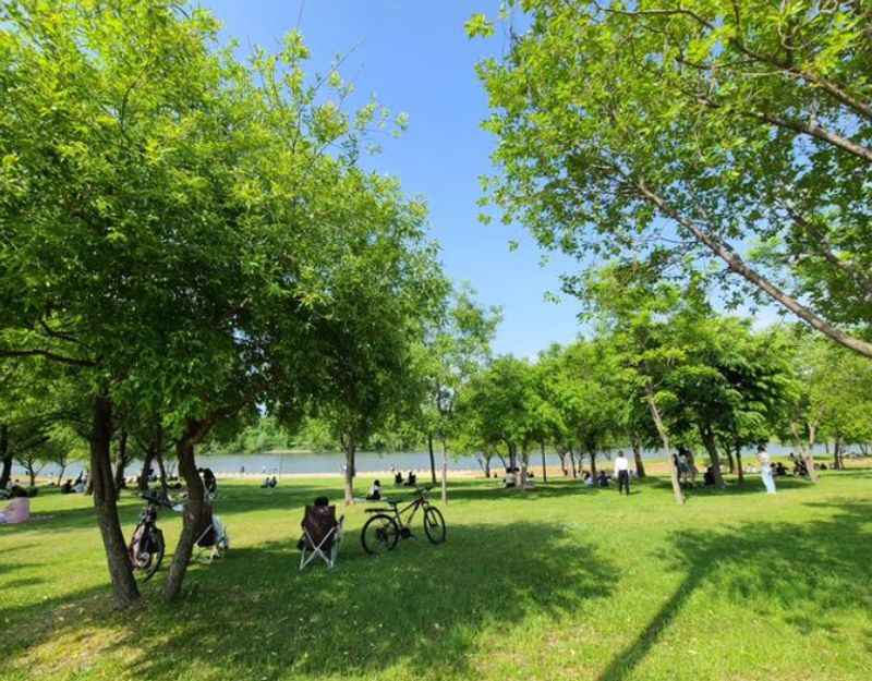 people relaxing in the green park