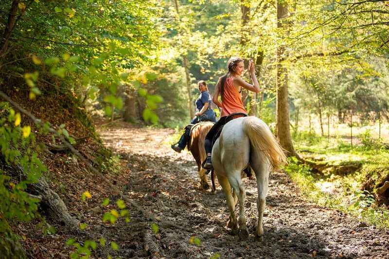 Five Oaks Riding Stables