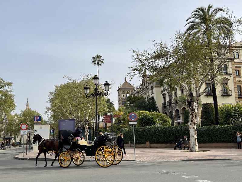 Horse-Drawn Carriage Ride