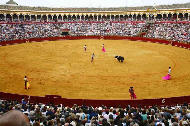 Sevillano Bullfight