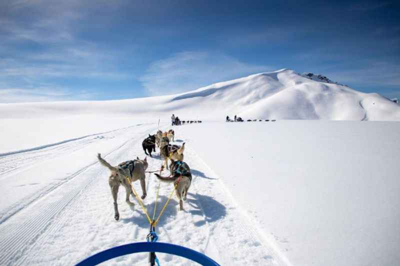 Dog Sledding in Seward, Alaska