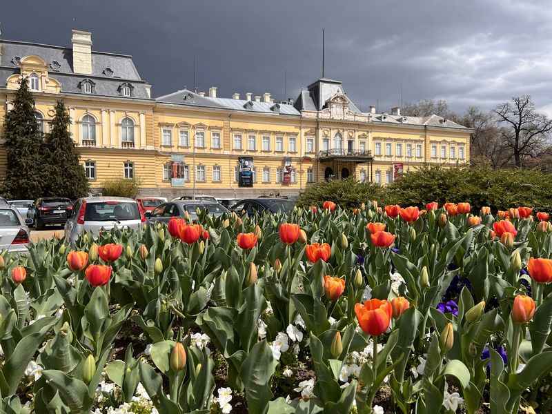 City Garden