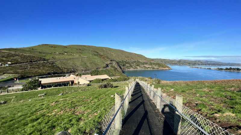 Taiaroa Head