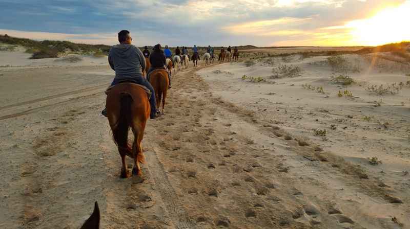 a group of people riding horses on a beach