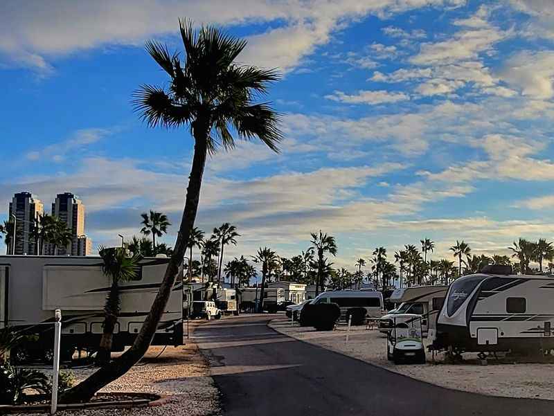 a street with a lot of parked rvs and palm trees