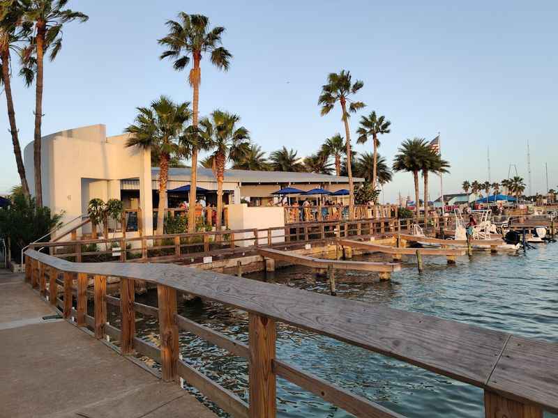 a dock with a boat and palm trees