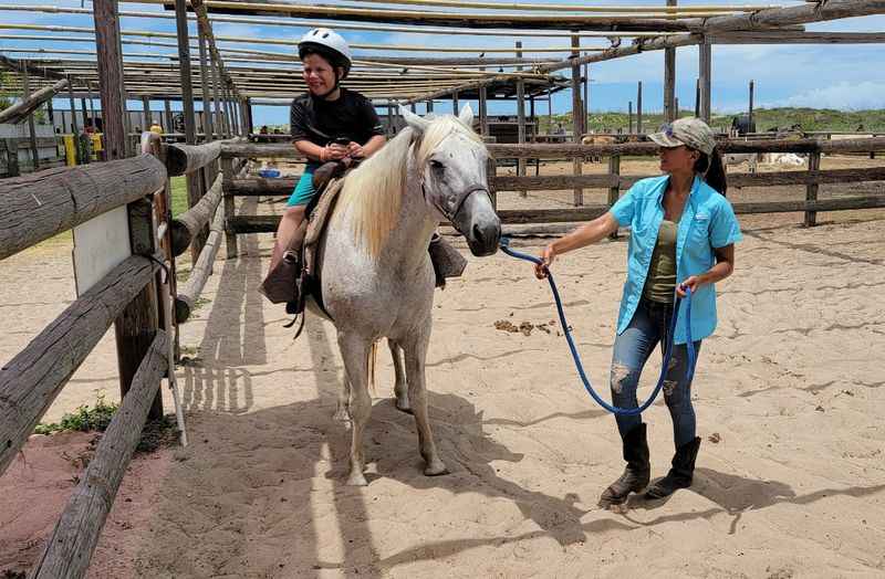 a woman is leading a horse to a man