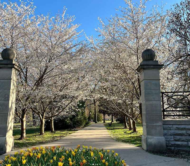 Tower Grove House and Park