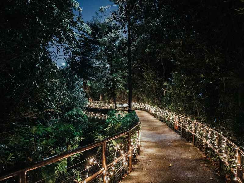 a path with lights and plants on it