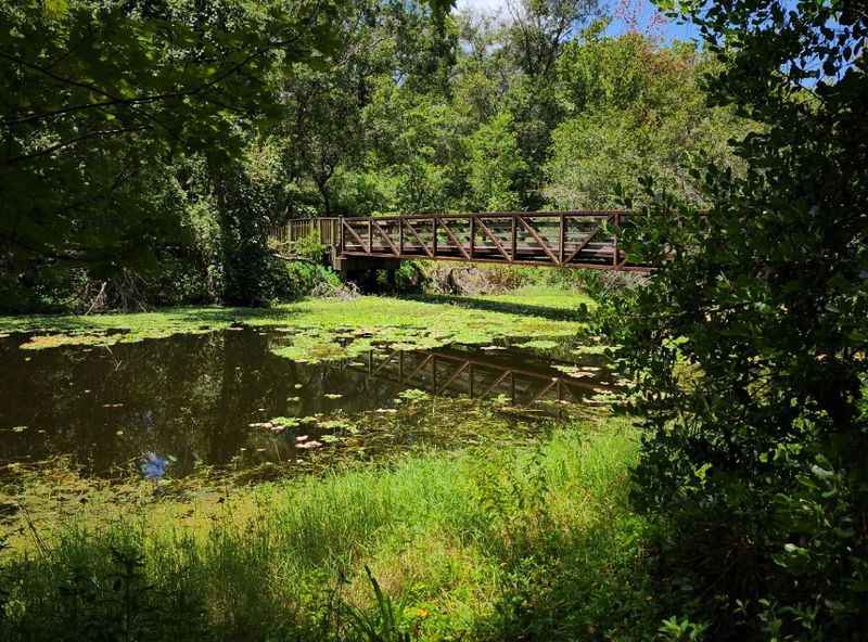 Sawgrass Lake Park