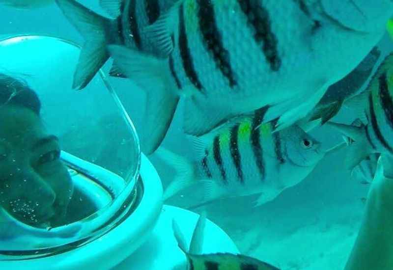 Sea Trek Helmet Dive for a Unique Underwater Experience