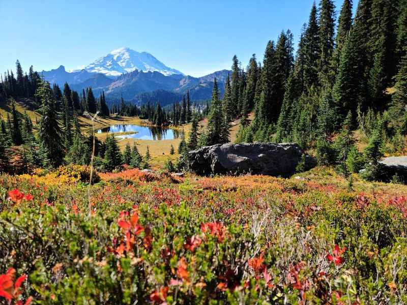 Mount Rainier National Park