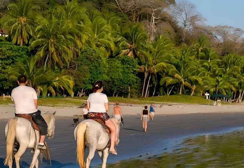 Horseback Riding on the Beach